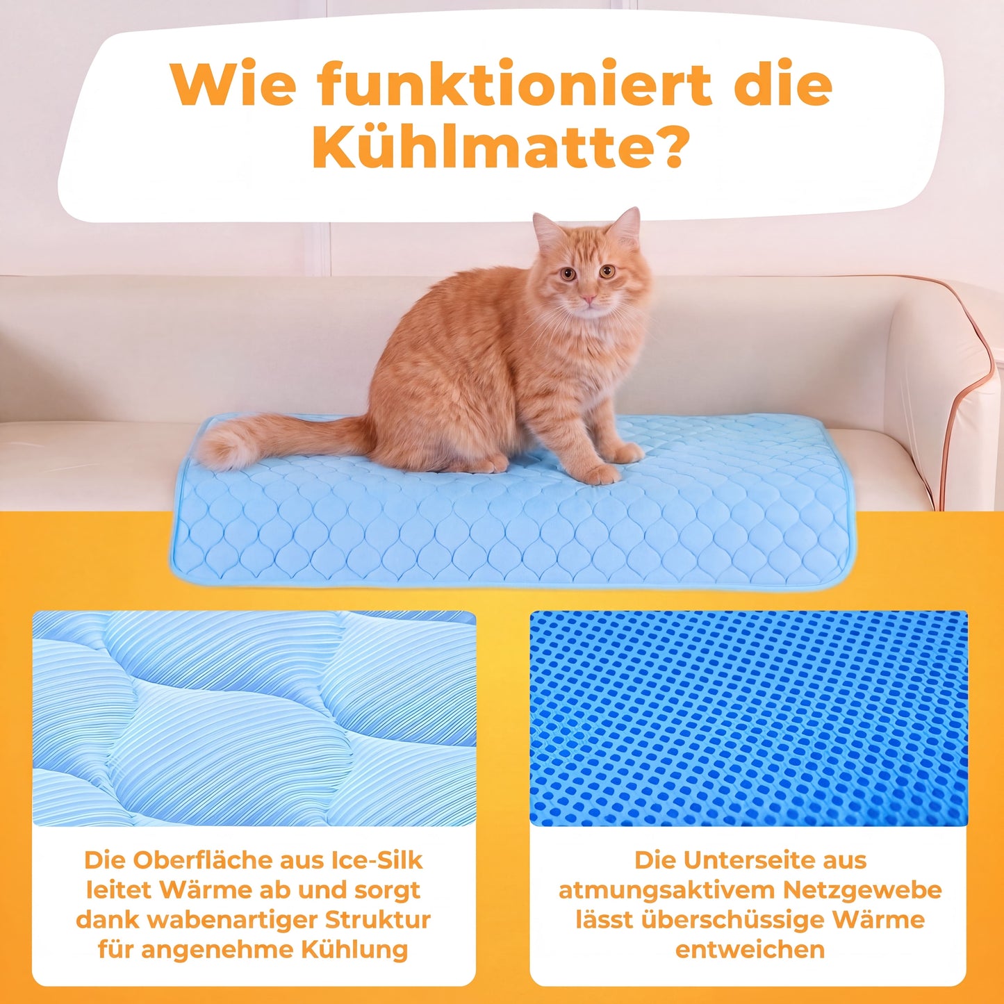 PfotenFrost - Der Bestseller