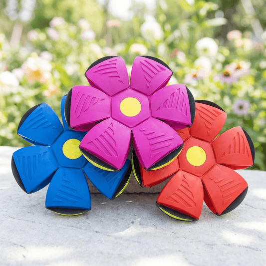 PopFly™ – Fliegender Pop-up-Ball für draussen
